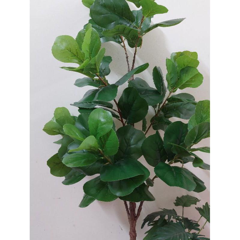 Cây bàng singapo giả cao cấp các kích cỡ