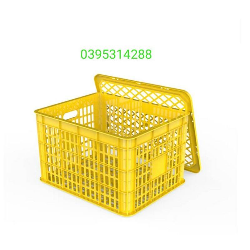 Sóng trái cây có nắp đậy cao cấp giá rẻ