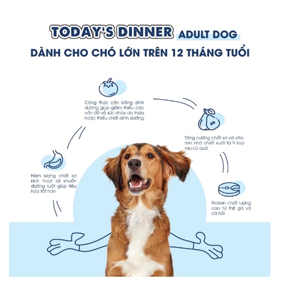 Thức ăn hạt cho Chó Today's dinner Adult Dog Gói 1kg Giúp da lông bóng mượt, tốt cho tiêu hóa, Xuất xứ Hàn quốc