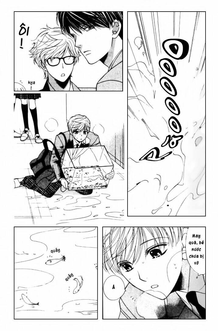 neko neko honey chapter 2 12