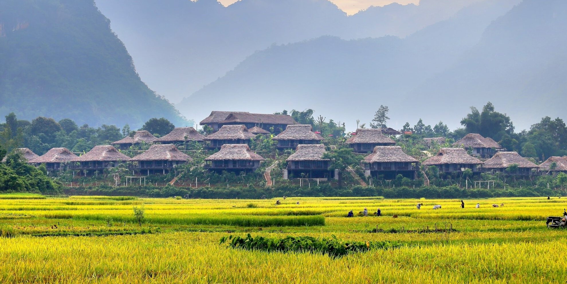 TOUR HÀ NỘI - PÙ LUÔNG – MAI CHÂU – HÀ NỘI: SẮC LÚA VÀNG VÙNG CAO THANH HÓA