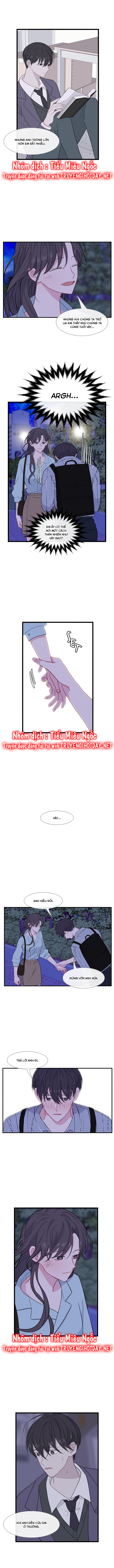 quay lại nhé chapter 114 7