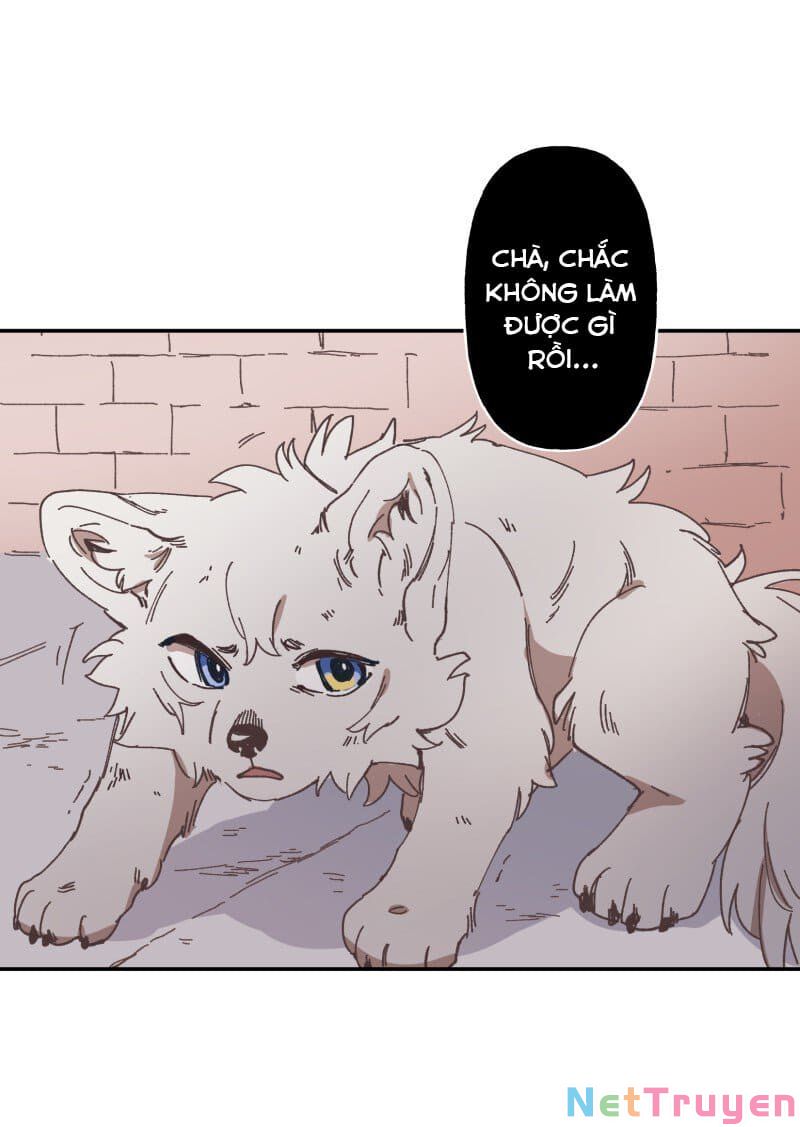 lumine - cội nguồn ánh sáng chapter 90 38