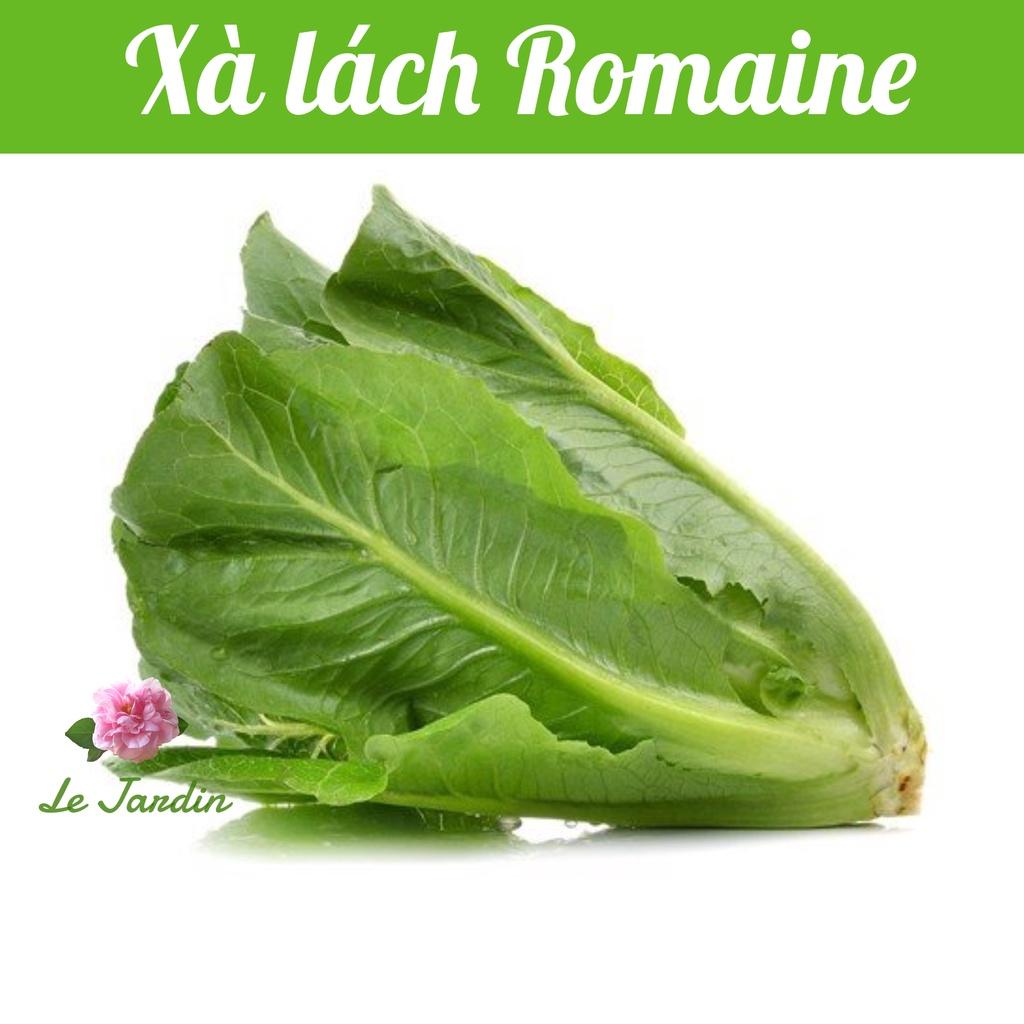 Hạt giống xà lách Romaine gói 2gr - Chịu nhiệt tốt