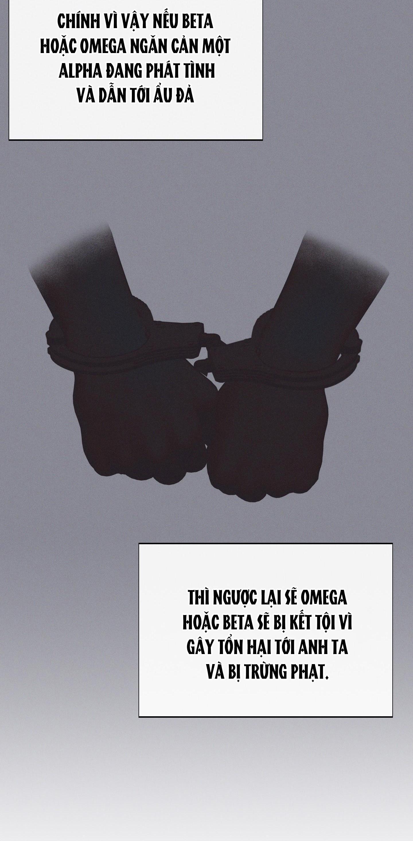 tháng 12 chapter 33 57