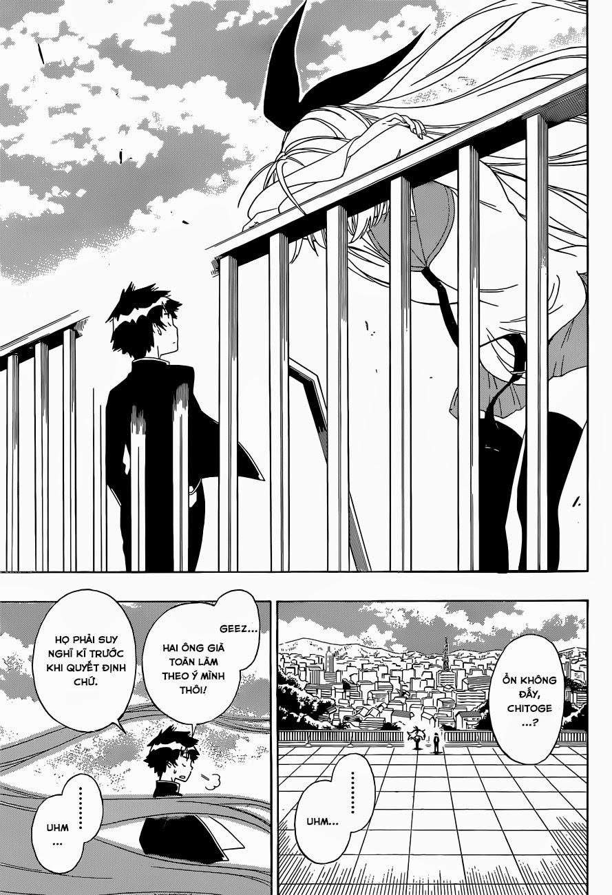 nisekoi - tình yêu giả tạo chapter 157 12