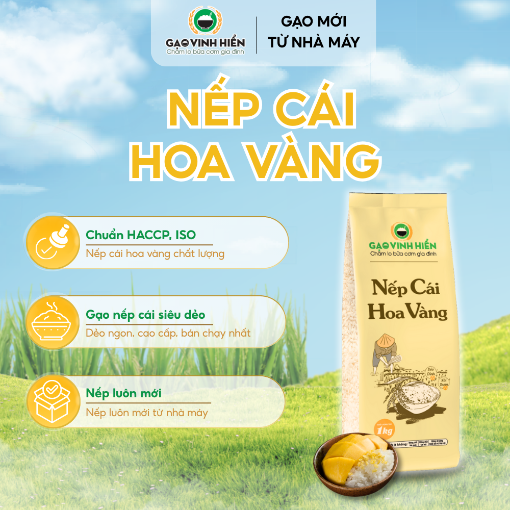 Combo 4 túi Nếp Cái Hoa Vàng Vinh Hiển - Tiết kiệm, siêu dẻo, thơm nhiều