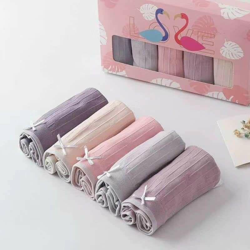 Combo 5 chiếc quần lót đóng hộp thiên nga