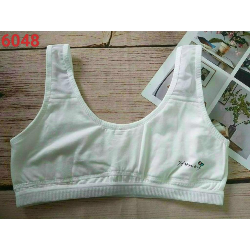 COMBO 05 ÁO LÁ HỌC SINH COTTON CAO CẤP 6048