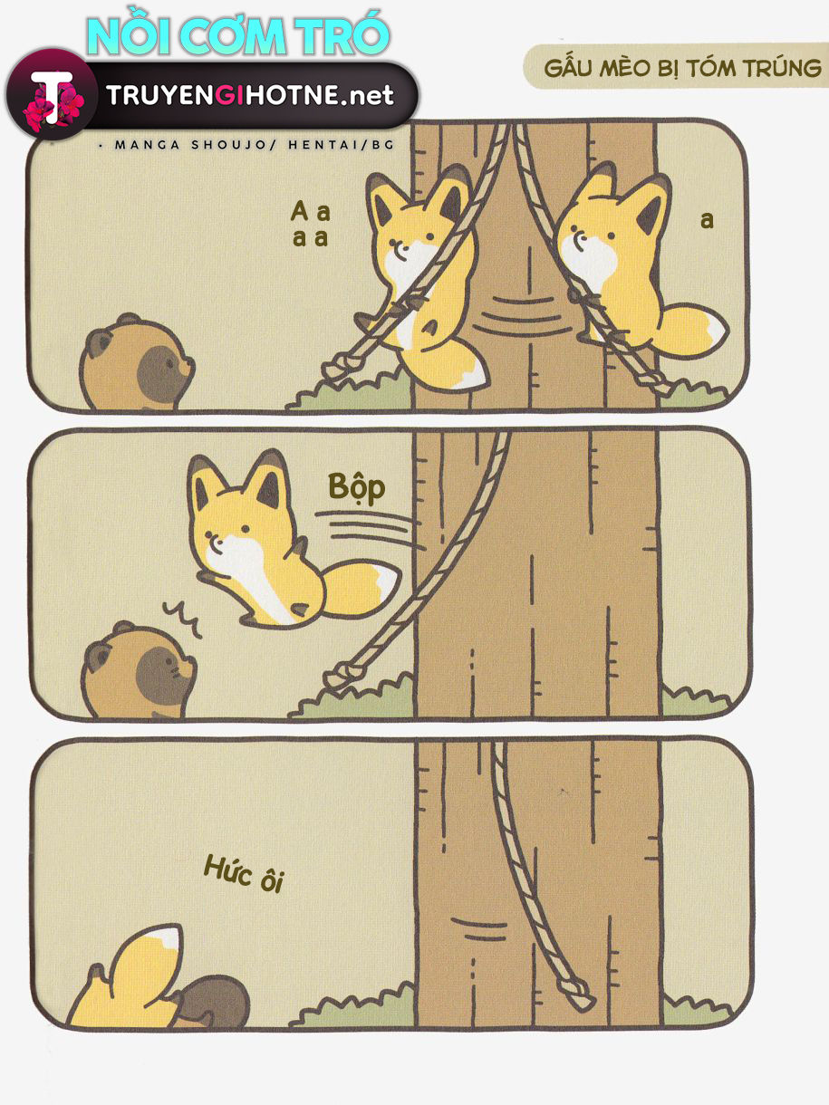 cáo và gấu mèo chapter 7 7