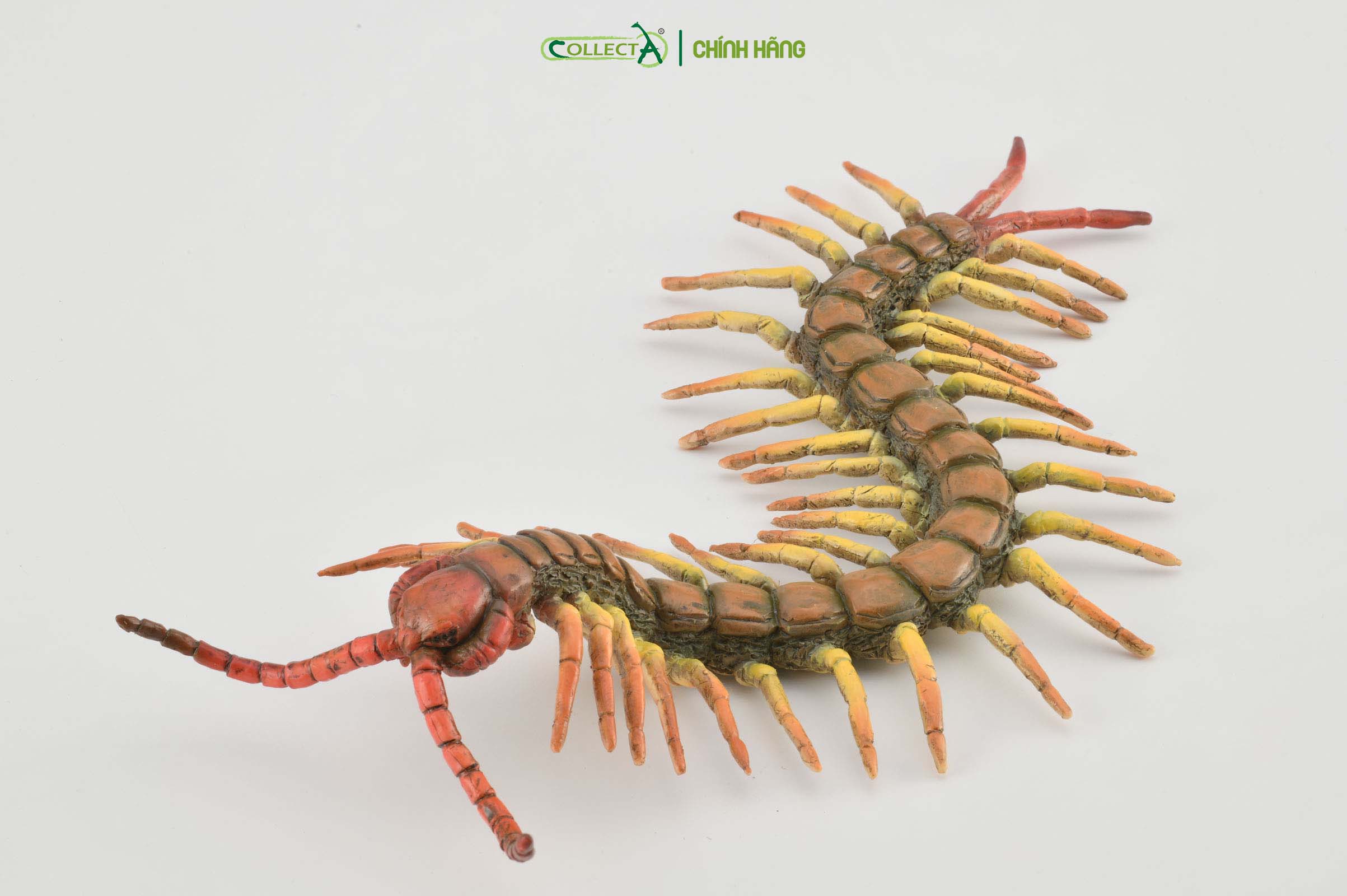 Mô hình thu nhỏ: Rết - Centipede, hiệu: CollectA, mã HS 9653040 [88885] -  Chất liệu an toàn cho trẻ - Hàng chính hãng