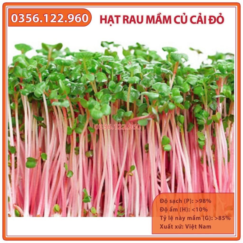 Hạt rau mầm rau củ cải đỏ - gói 50g - hạt tuyển chọn chất lượng cao