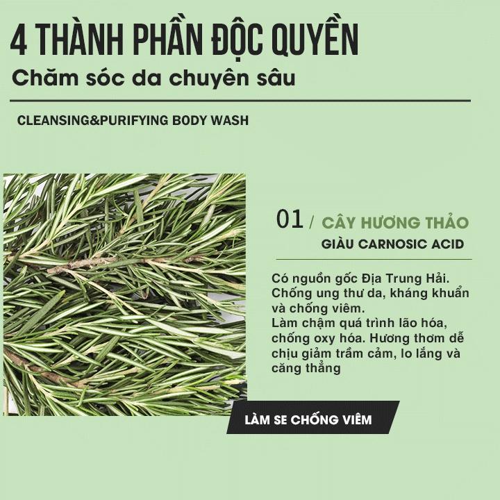 Sữa tắm nước hoa muối biển Five Grains 800ml