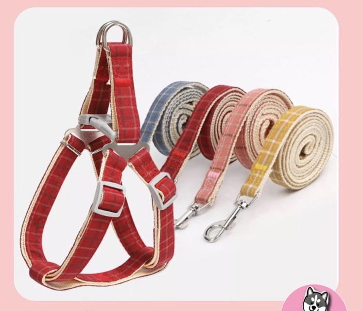 Set dây dắt kèm yếm caro cho chó