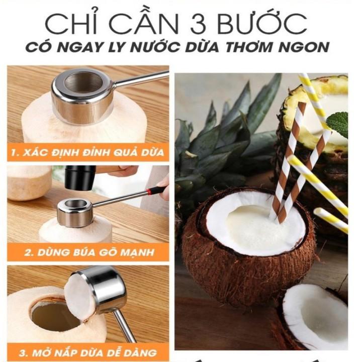 Bộ dụng cụ Nạo Dừa trọn vẹn COCO Japan Full 3pcs