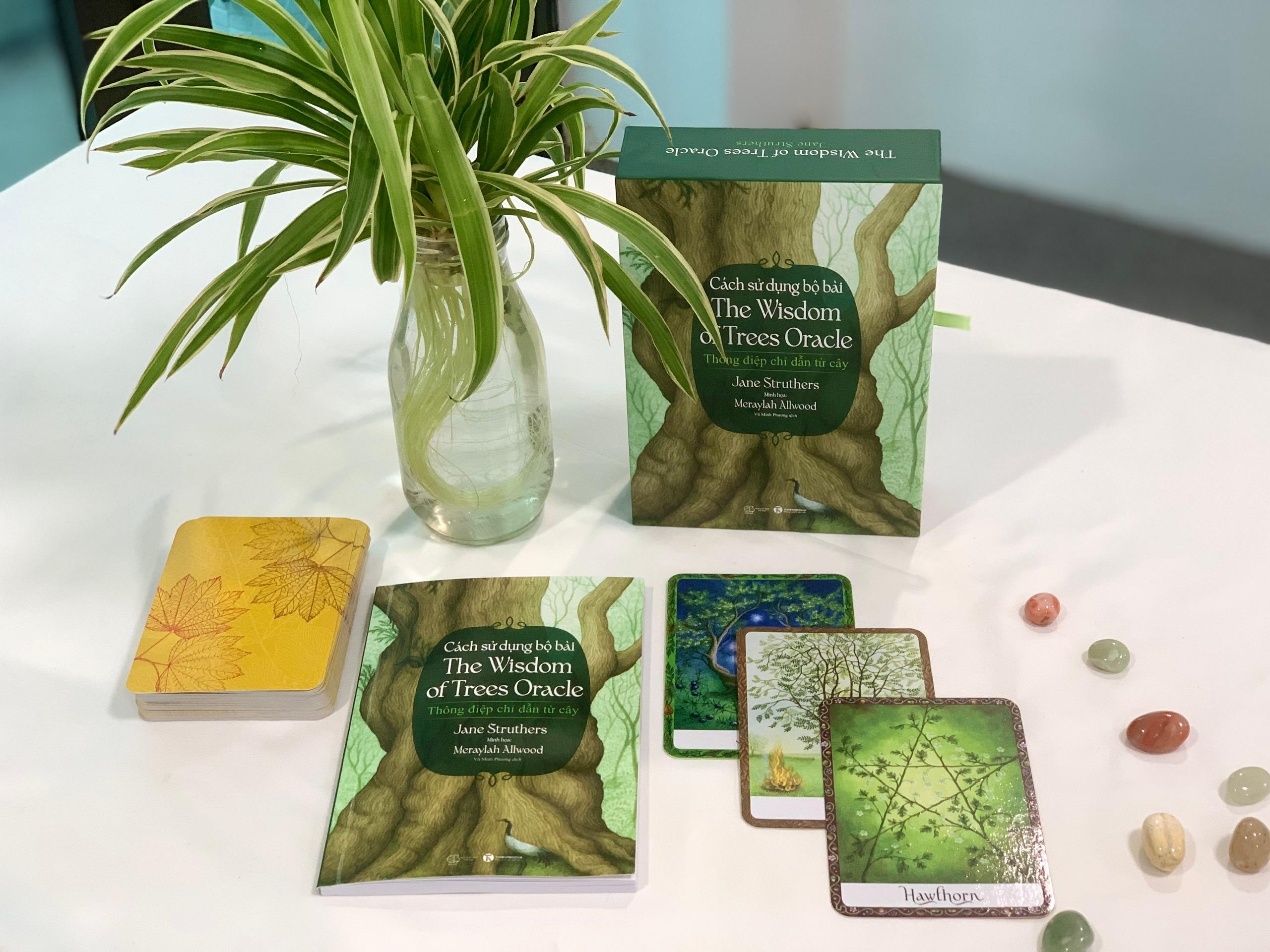 Cách sử dụng Bộ bài Wisdom of Trees Oracle - Bản Quyền