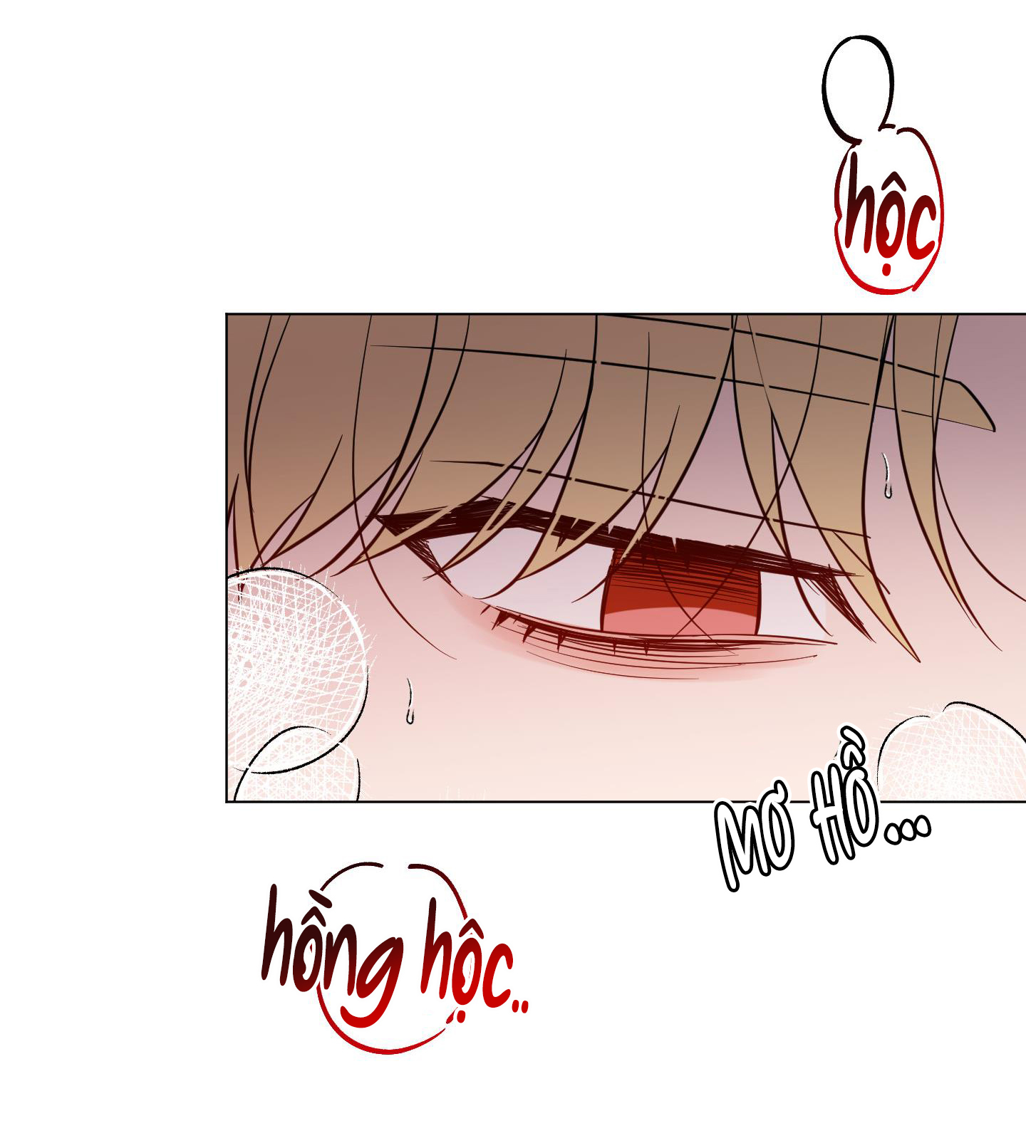 bình minh chia cắt màn đêm chapter 33 25