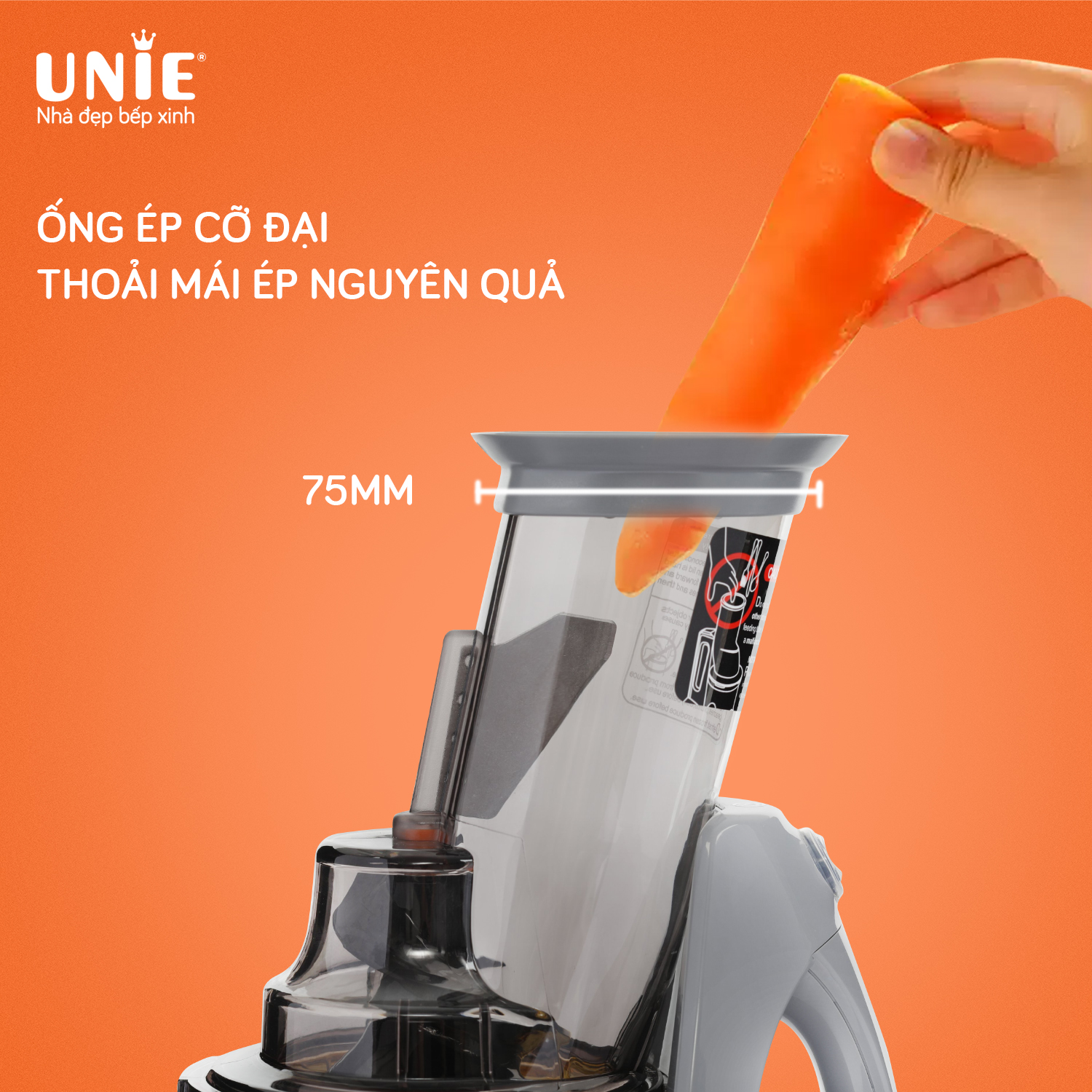 Máy Ép Trái Cây, Máy Ép Chậm UNIE UE-580 Tiêu Chuẩn Đức, Ép Kiệt Bã 99% Không Kẹt Máy Dung Tích 250 ML Công Suất 240 W - Hàng Chính Hãng