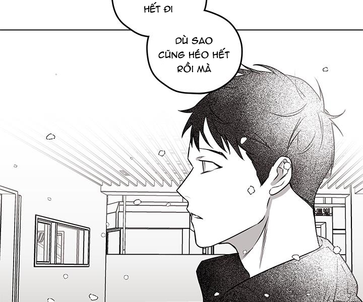 bữa tiệc của những đóa hoa chapter 22 113