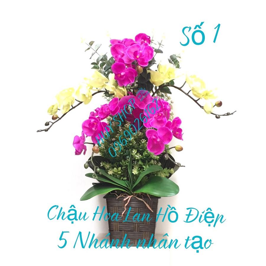 Chậu Hoa Lan Hồ Điệp 5 Nhánh (số 1) Cao Su nhân tạo trang trí nhà cửa