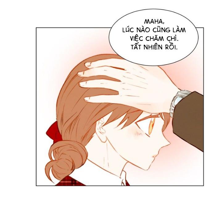 sao chép chapter 48 24