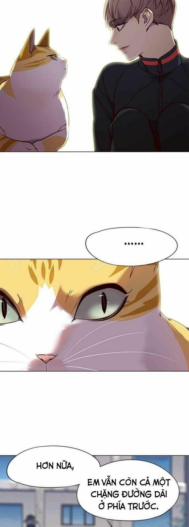 biến thân thành mèo chapter 92 39