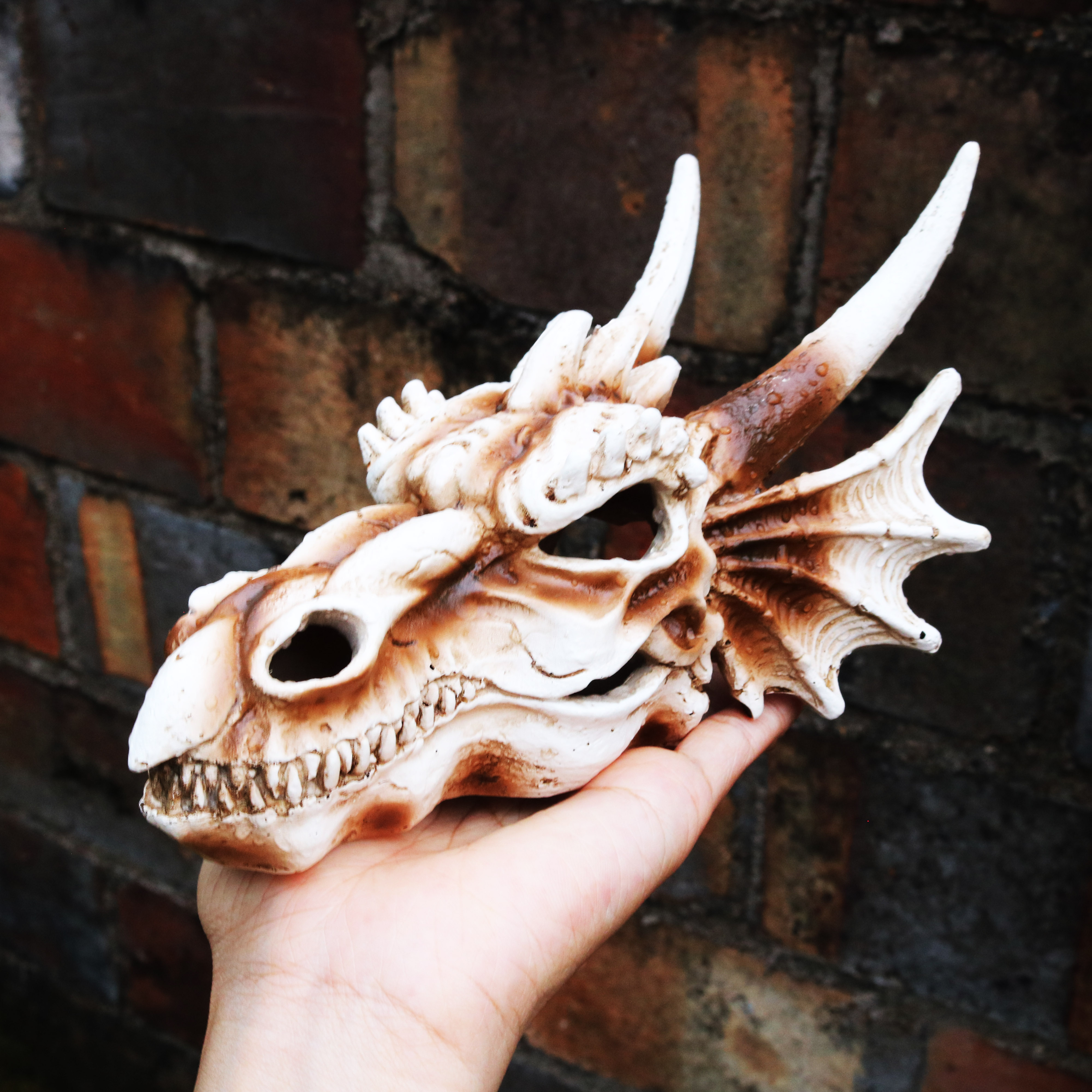 Mô hình Đầu rồng phong thủy trang trí bể thủy sinh - hồ bán cạn