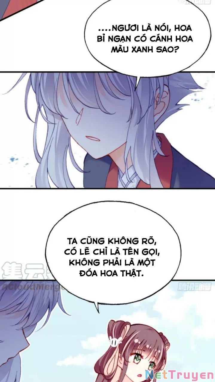 lại bị bệnh chiều chuộng quấn lấy chapter 35 40