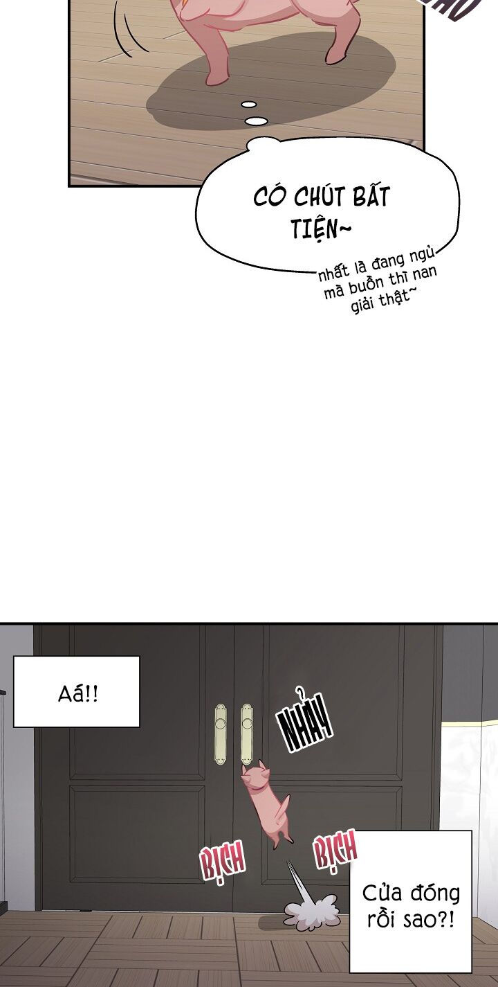 cuộc sống kỳ thú chapter 35 2