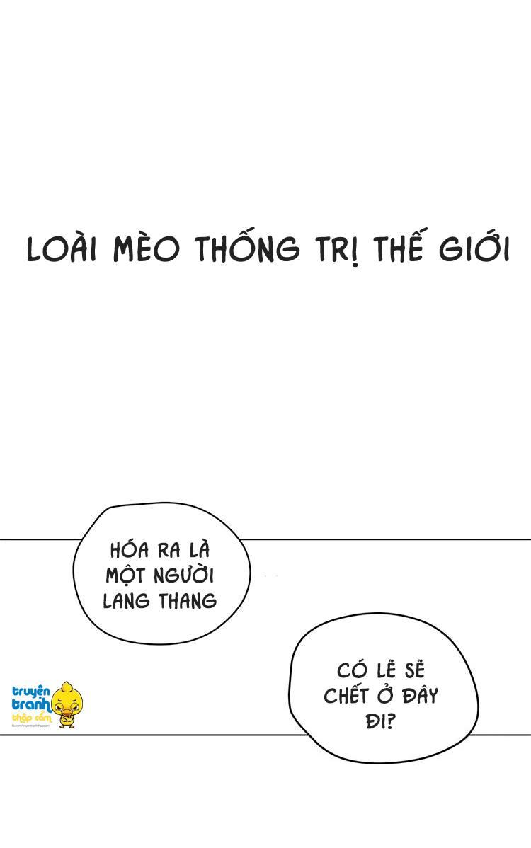 cứu mạng ! loài mèo thống trị thế giới rồi ! chapter 1 3