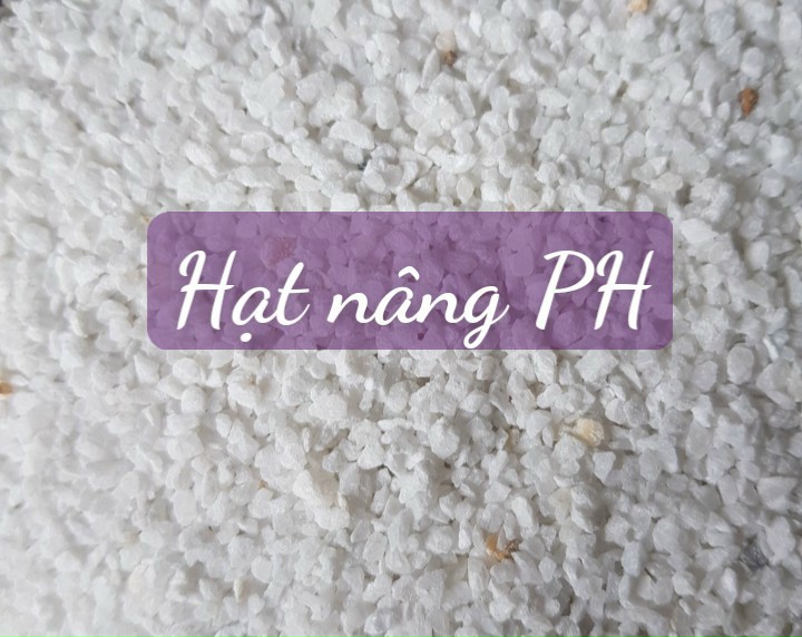 Đá Nâng PH - Dùng Cho Lọc Nước