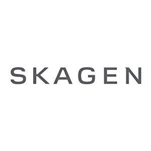 Skagen Men s Ancher Stainless Steel and Mesh Quartz Watch 1