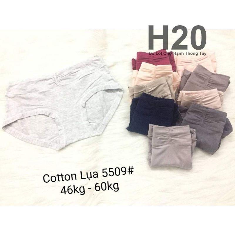 Combo 5 Quần Lót Cotton cạp cao mã 5509