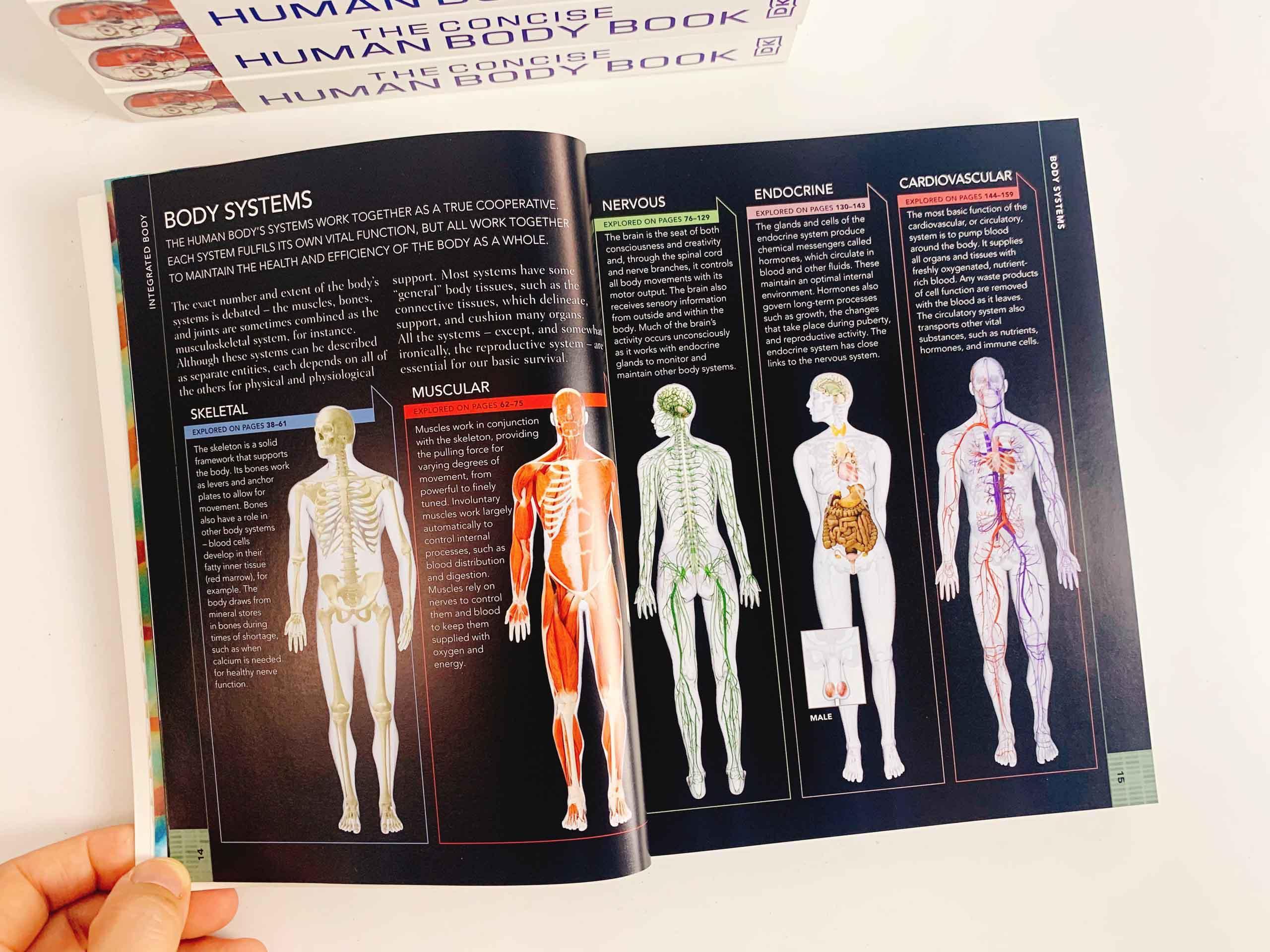 The Concise Human Body Book: An illustrated guide to its structure, function and disorders