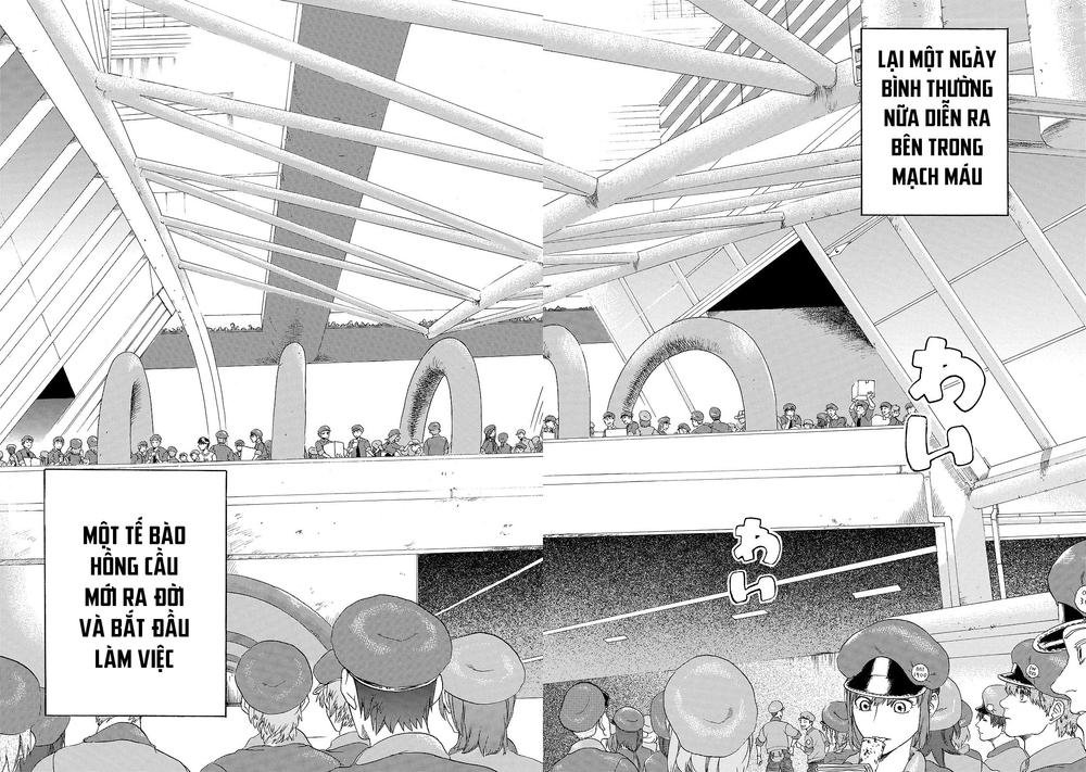 hataraku saibou! chapter 17 13