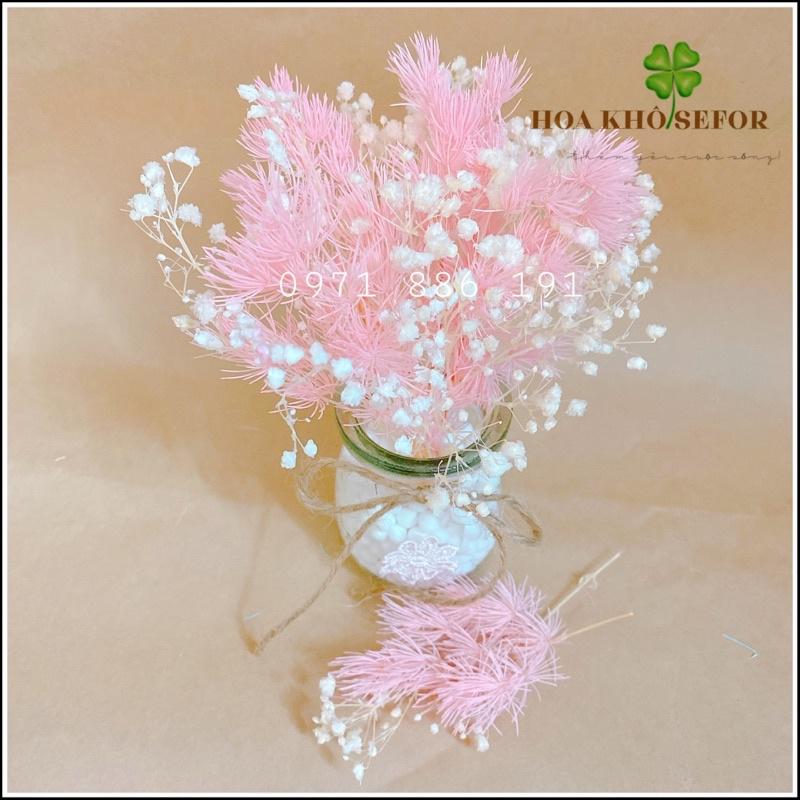 Tùng Nho khô ️ Lọ hoa mini Tùng Nho khô ️ hoa khô trang trí, làm quà tặng, phụ kiện chụp ảnh