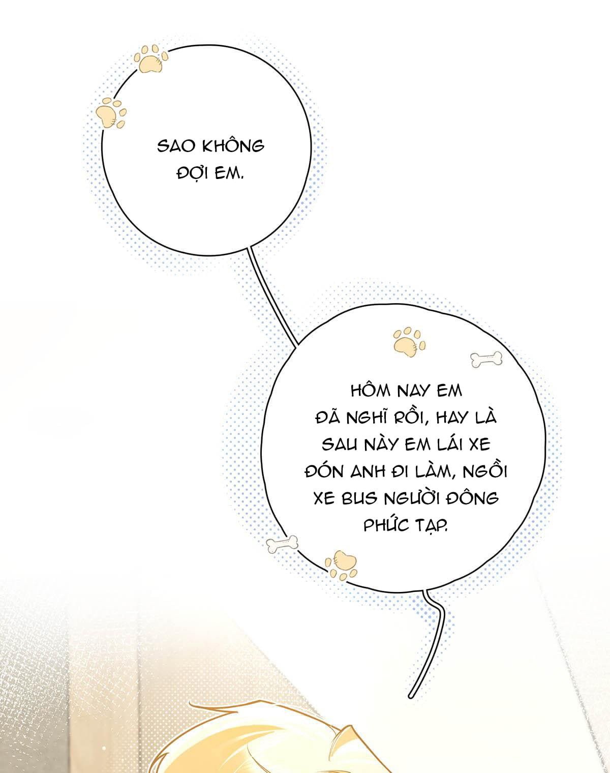 omg! cp tôi đu là thật! chapter 19 15