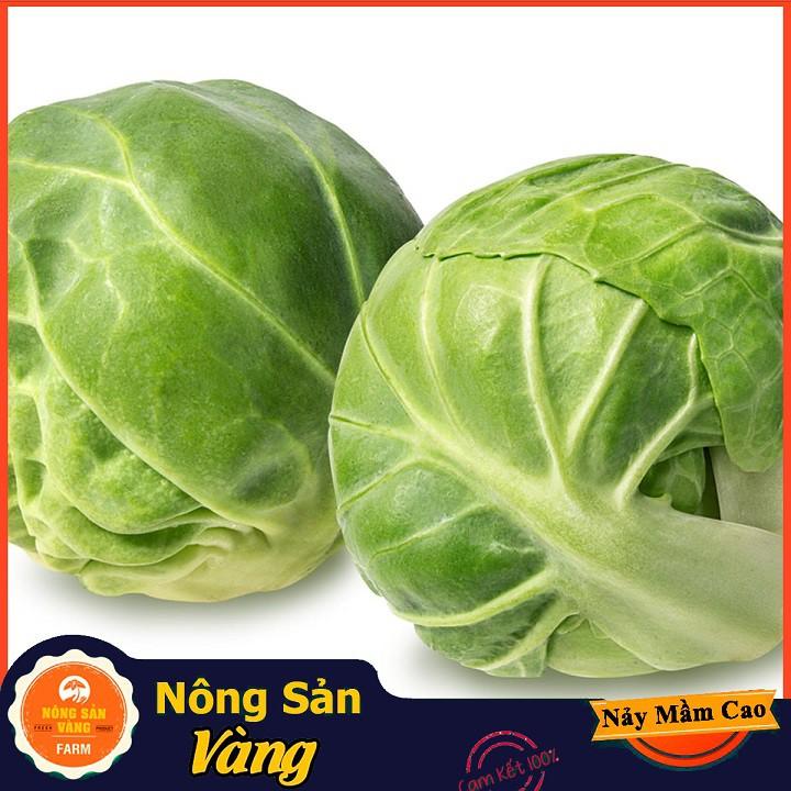 Hạt giống Bắp Cải Tí Hon Xanh