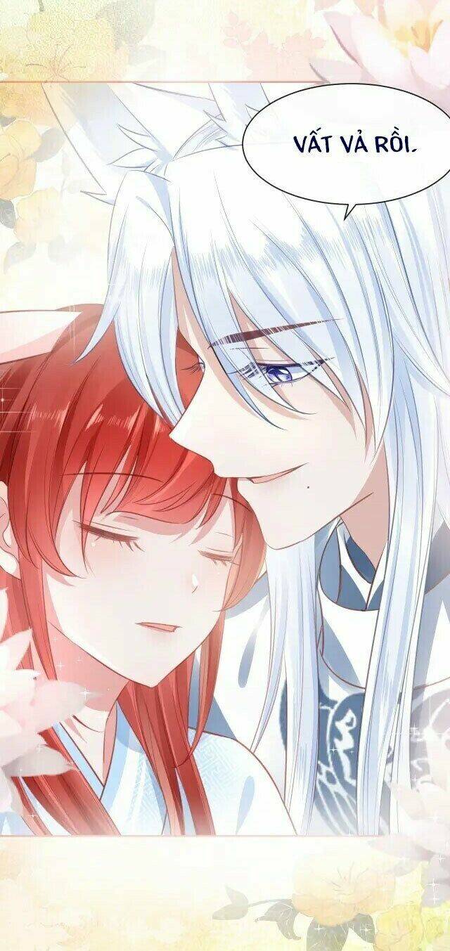 hắc hóa nam chính trực tuyến nuôi thỏ chapter 24 40