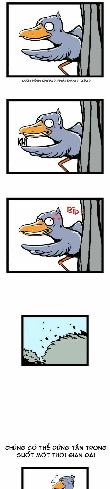 earth, human, and animal chapter 14 12