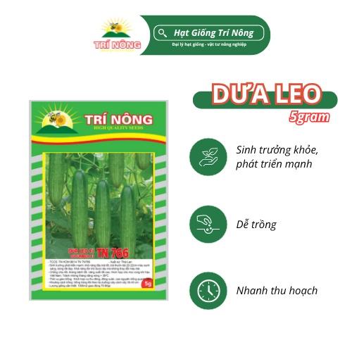 Hạt Giống Dưa Leo, TN766, Dễ Trồng, Dễ Chăm Sóc, Nhanh Thu Hoạch