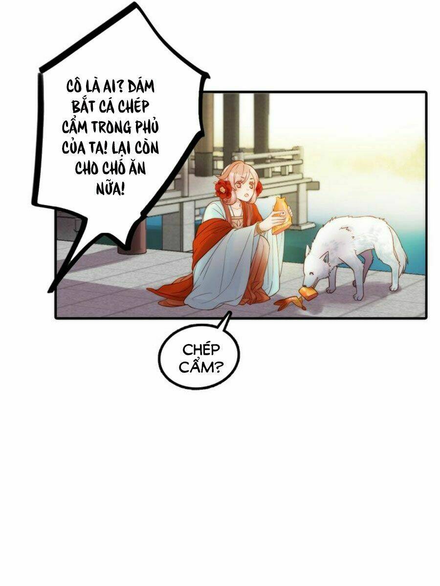 cướp chàng vợ về đón năm mới chapter 28 7