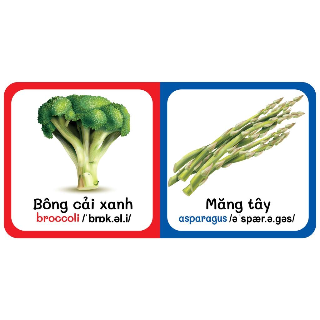 Sách - Baby'S First Picture Dictionary - Từ Điển Bằng Hình Đầu Tiên Của Bé - Rau Củ - Vegetable (Bìa Cứng)