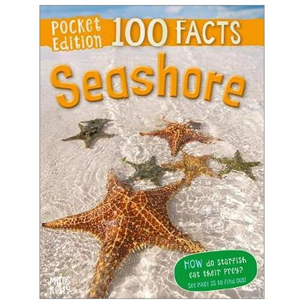 Seashore (100 Facts Pocket Edition)