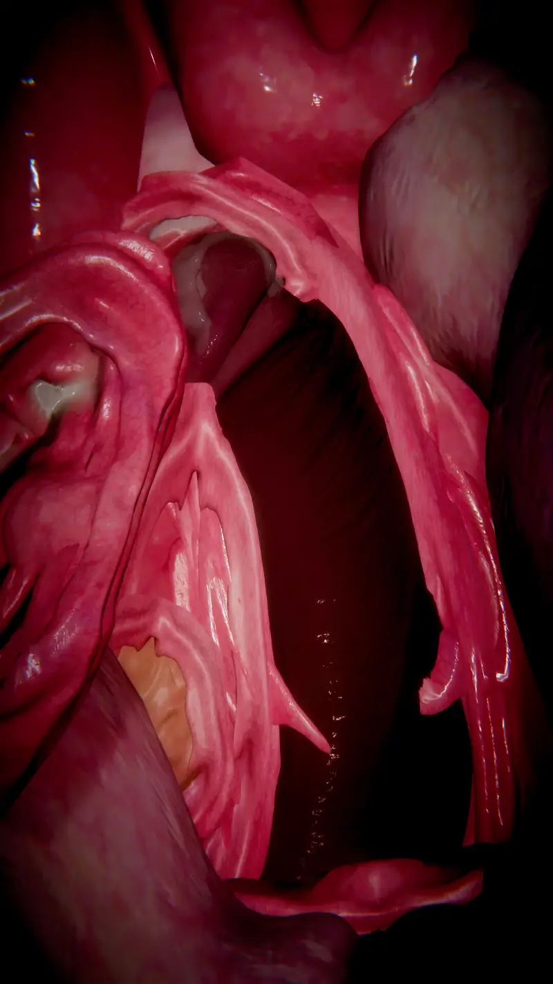 đừng gây sự với karu chapter 1 100