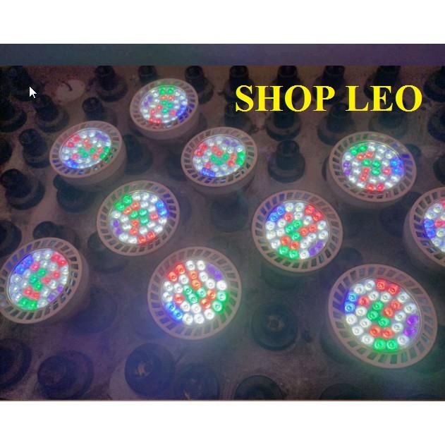 Đèn rọi ray cho hồ bán cạn - bể thủy sinh - phụ kiện cá cảnh - shopleo