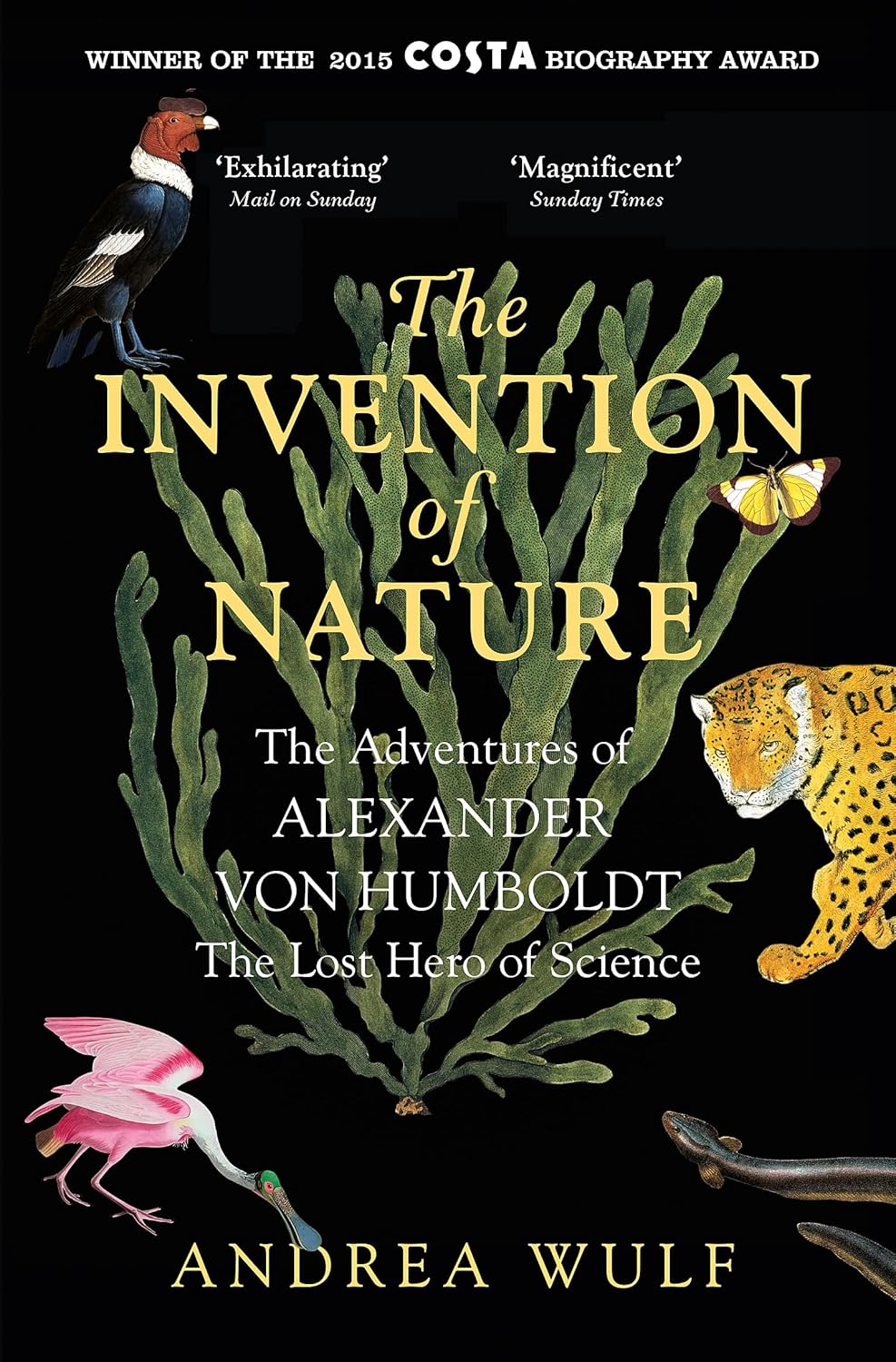 Sách - The Invention of Nature by Andrea Wulf - Sách Ngoại văn - English History Book - Nhập Khẩu UK