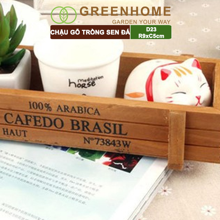 Chậu gỗ trồng sen đá Cafedo, D23xR9xC5cm, trang trí cây cảnh để bàn, xương rồng |Greenhome