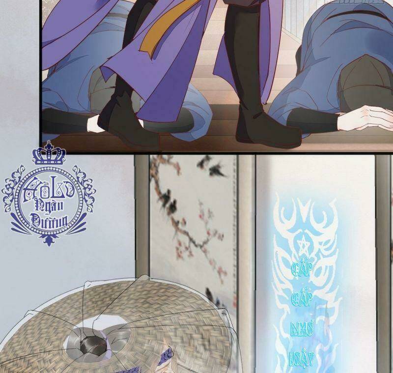 sát thủ vương phi không dễ chọc chapter 24 43