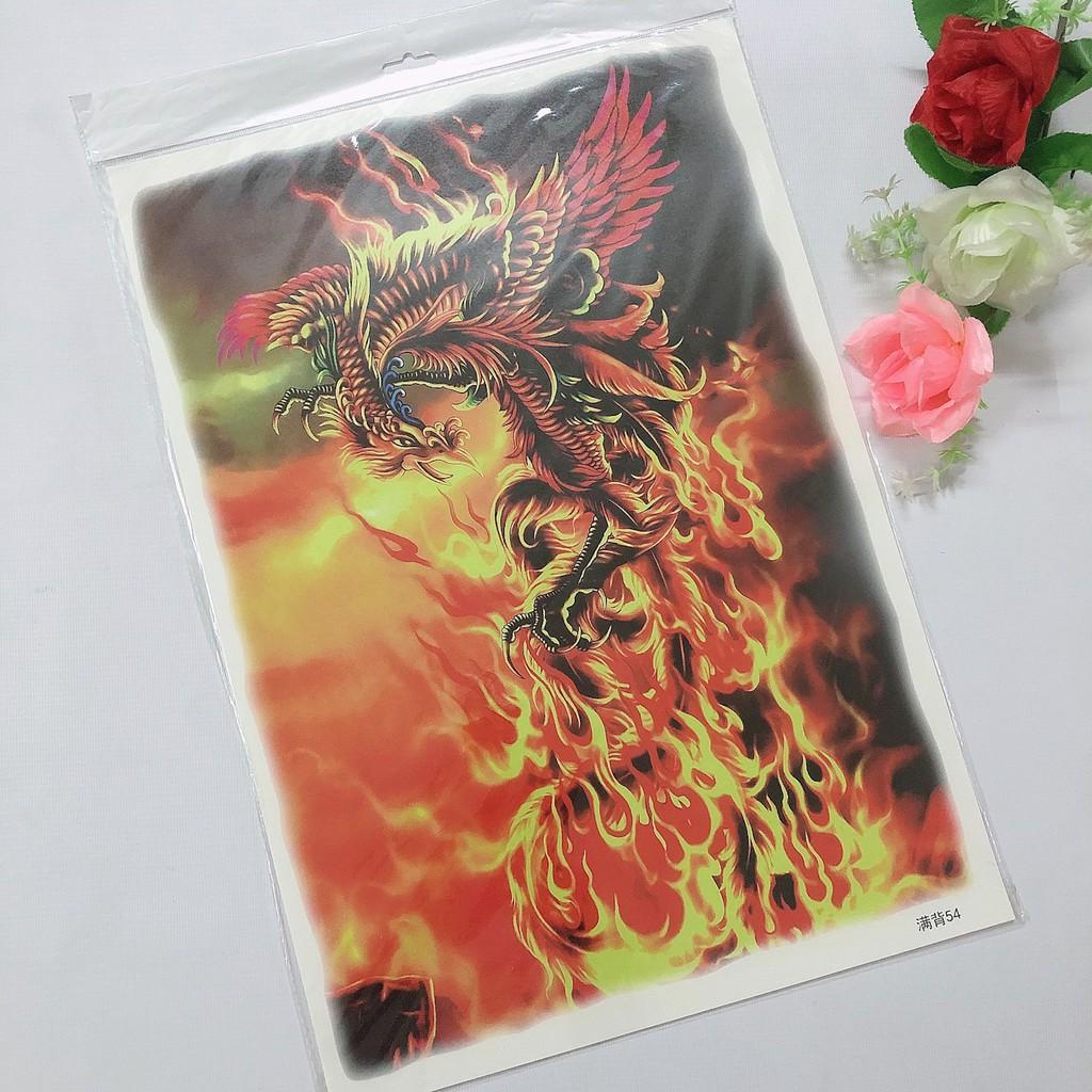 Hình xăm dán kín lưng phượng hoàng màu 34x48cm
